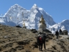 Everest 1